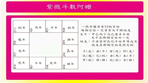 紫微斗數命盤免費|靈匣網的紫微斗數線上排盤系統